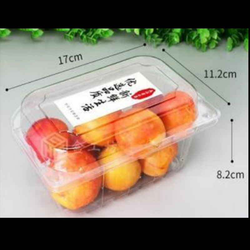 Плодова кутия с капак 170*112*82 mm Hgf-300l